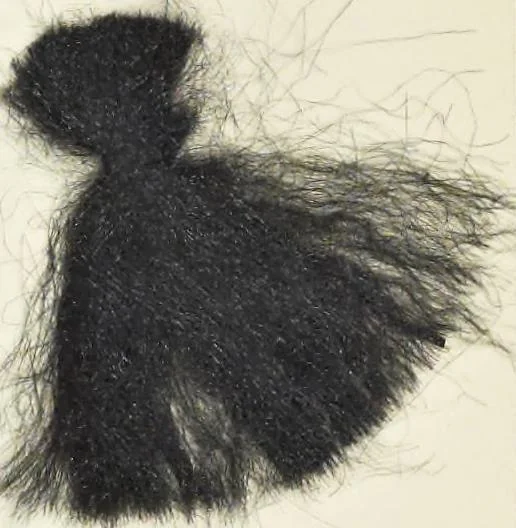 An illustration from Silk dyeing, printing, and finishing, 1892, leaf 256