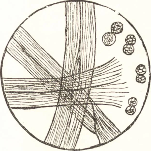 An illustration from Silk dyeing, printing, and finishing, 1892, leaf 26