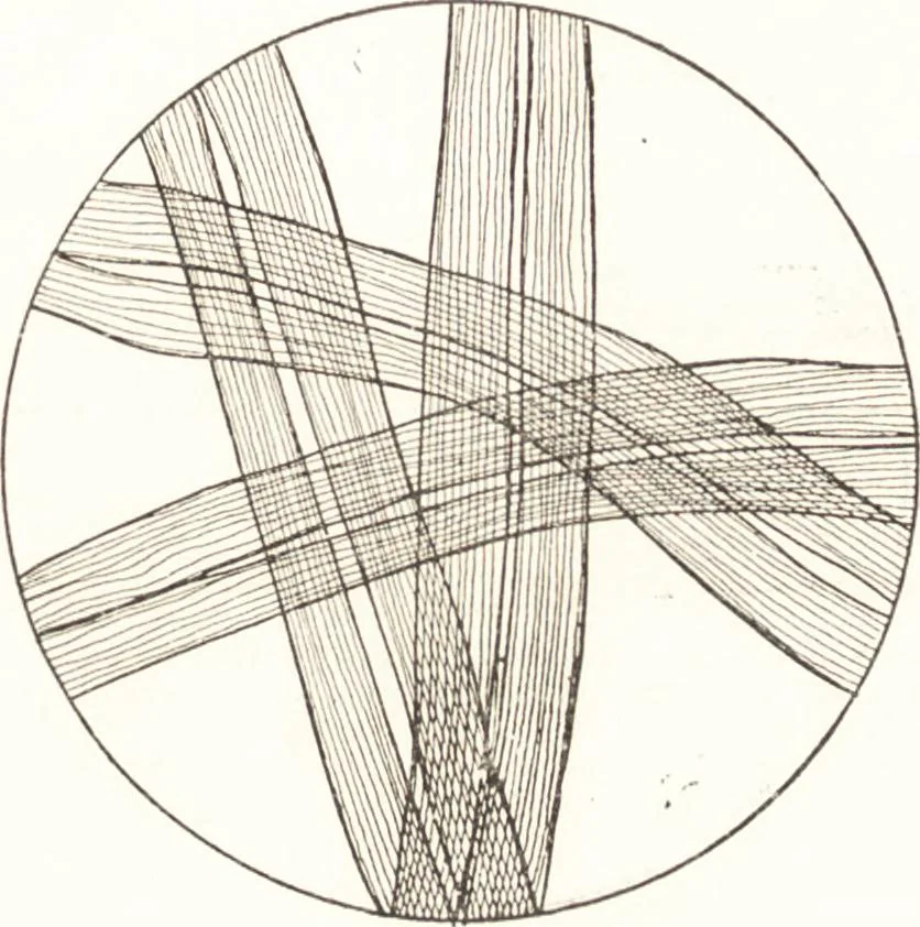 An illustration from Silk dyeing, printing, and finishing, 1892, leaf 28