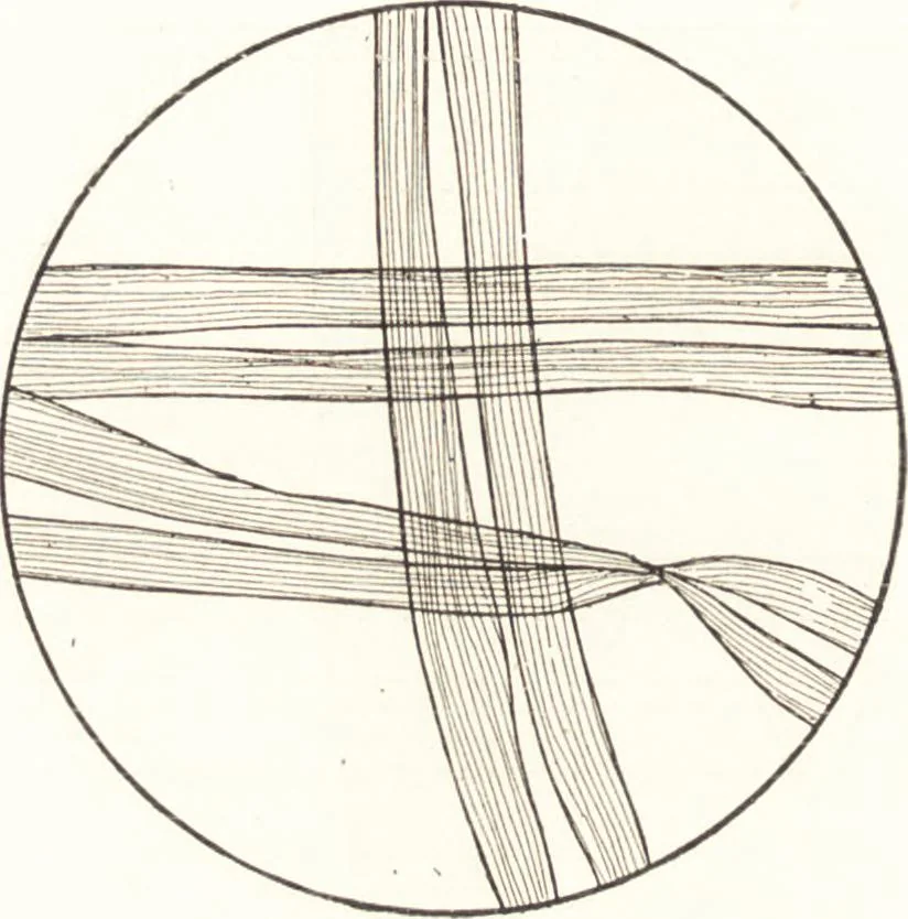 An illustration from Silk dyeing, printing, and finishing, 1892, leaf 29