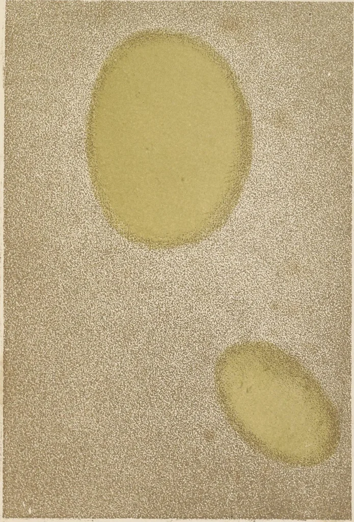 An illustration from The art of painting restored to its simplest and surest principles, 1849, leaf 228