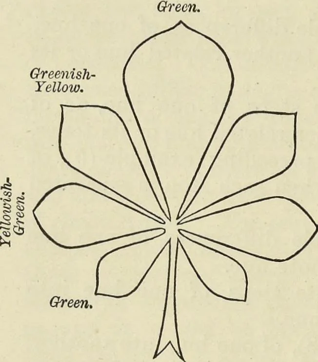 An illustration from Colour : an elementary manual for students, 1887, leaf 165