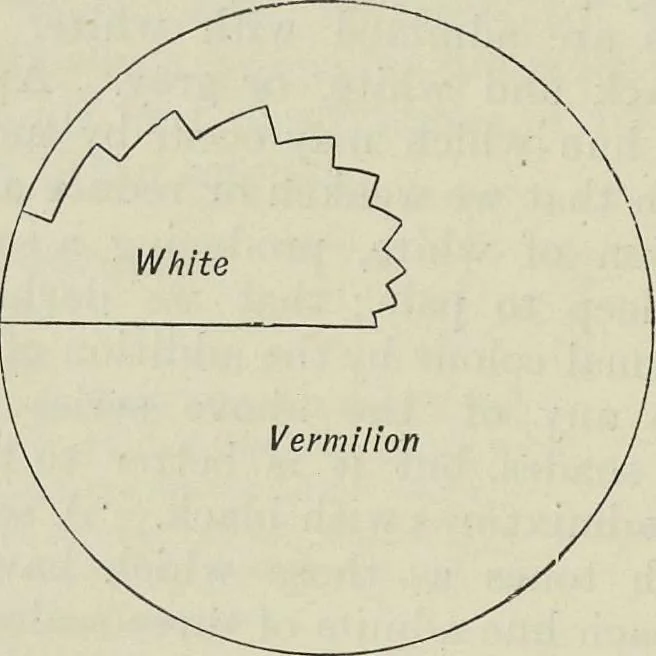 An illustration from Colour : an elementary manual for students, 1887, leaf 75