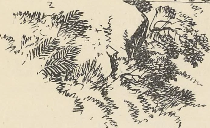 An illustration from The theory and practice of landscape painting in water-colours illustrated by a series of twenty-six drawings and diagrams in colours and numerous woodcuts, 1885, leaf 106