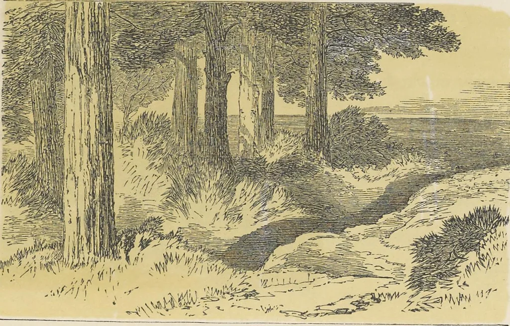 An illustration from The theory and practice of landscape painting in water-colours illustrated by a series of twenty-six drawings and diagrams in colours and numerous woodcuts, 1885, leaf 134