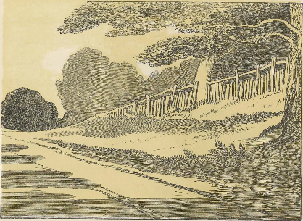 An illustration from The theory and practice of landscape painting in water-colours illustrated by a series of twenty-six drawings and diagrams in colours and numerous woodcuts, 1885, leaf 134