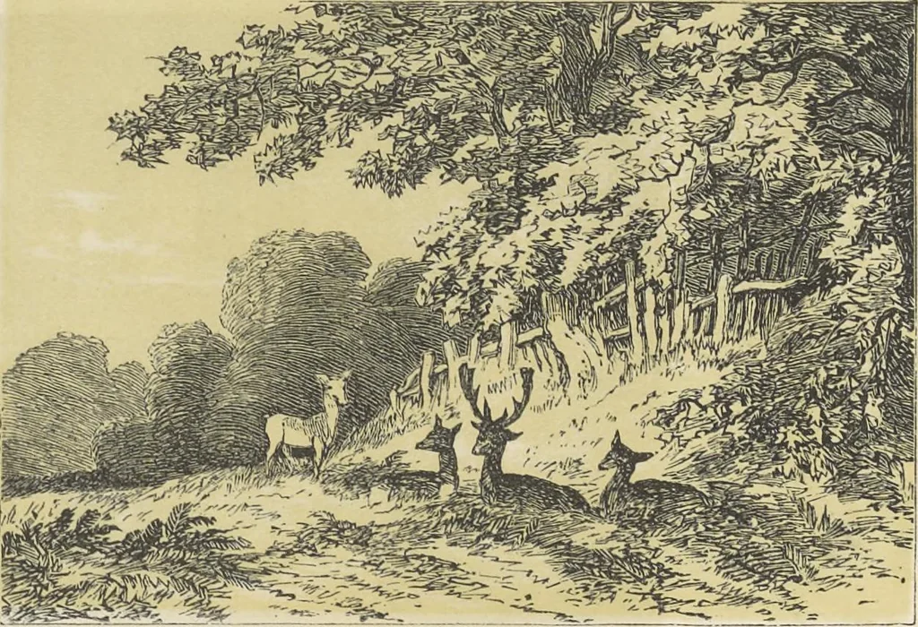 An illustration from The theory and practice of landscape painting in water-colours illustrated by a series of twenty-six drawings and diagrams in colours and numerous woodcuts, 1885, leaf 135