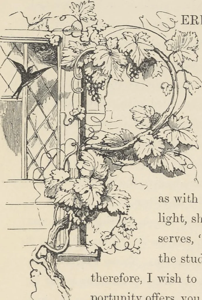 An illustration from The theory and practice of landscape painting in water-colours illustrated by a series of twenty-six drawings and diagrams in colours and numerous woodcuts, 1885, leaf 148