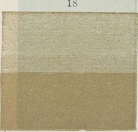 An illustration from The theory and practice of landscape painting in water-colours illustrated by a series of twenty-six drawings and diagrams in colours and numerous woodcuts, 1885, leaf 201