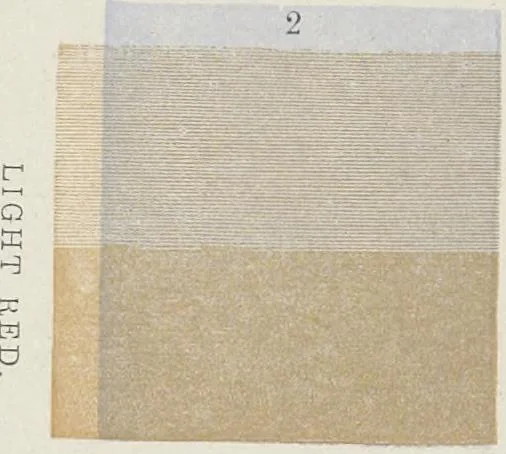 An illustration from The theory and practice of landscape painting in water-colours illustrated by a series of twenty-six drawings and diagrams in colours and numerous woodcuts, 1885, leaf 201