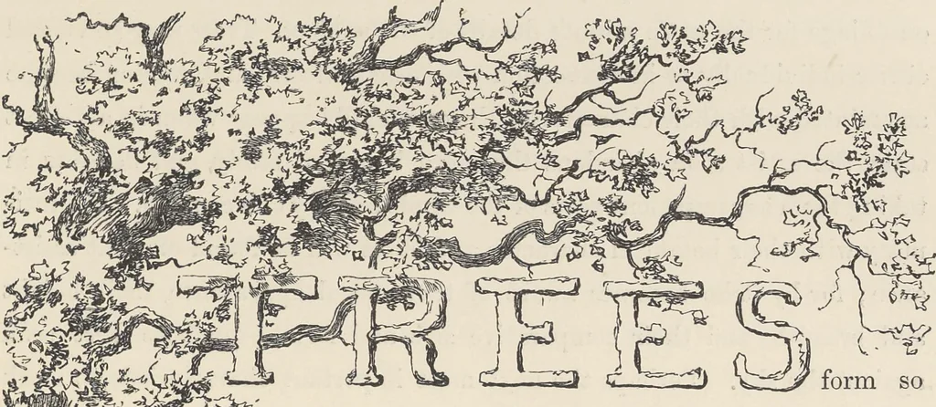 An illustration from The theory and practice of landscape painting in water-colours illustrated by a series of twenty-six drawings and diagrams in colours and numerous woodcuts, 1885, leaf 208