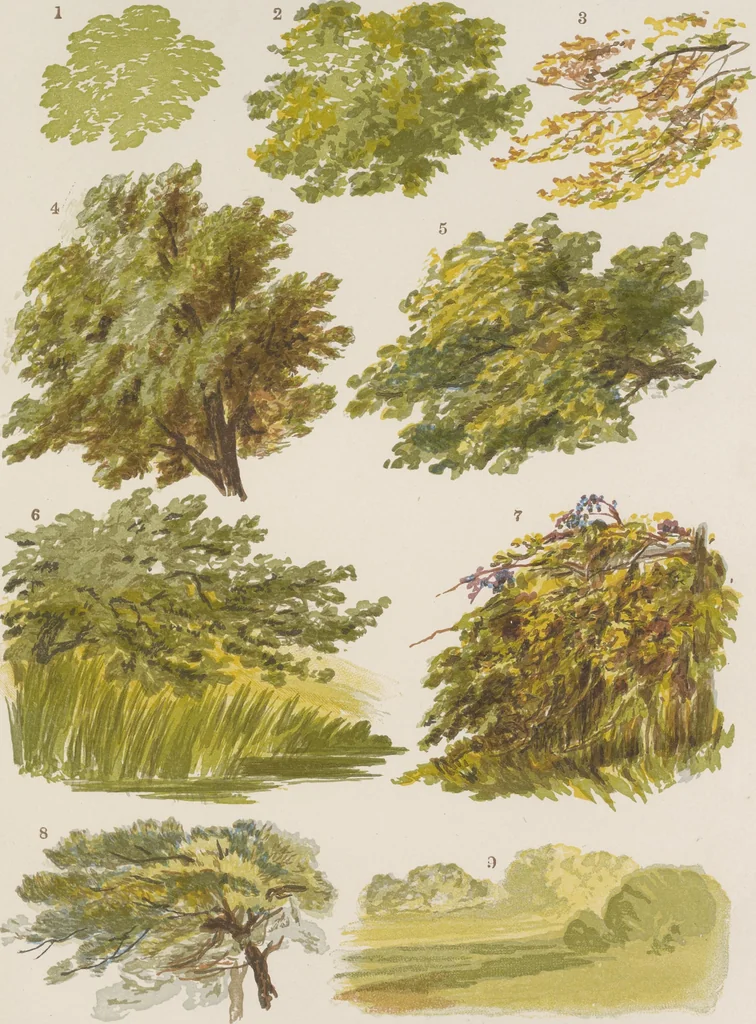 An illustration from The theory and practice of landscape painting in water-colours illustrated by a series of twenty-six drawings and diagrams in colours and numerous woodcuts, 1885, leaf 216