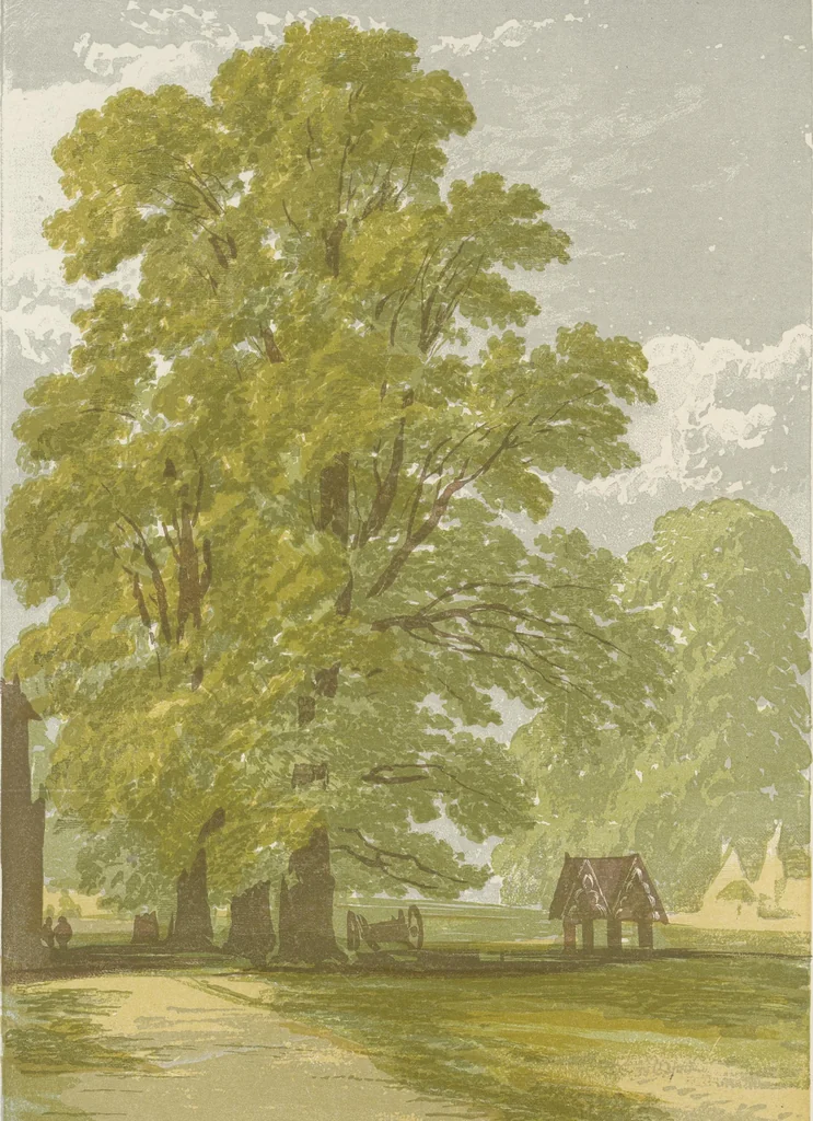 An illustration from The theory and practice of landscape painting in water-colours illustrated by a series of twenty-six drawings and diagrams in colours and numerous woodcuts, 1885, leaf 219