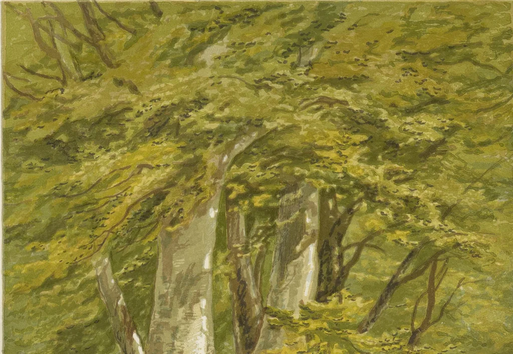 An illustration from The theory and practice of landscape painting in water-colours illustrated by a series of twenty-six drawings and diagrams in colours and numerous woodcuts, 1885, leaf 235