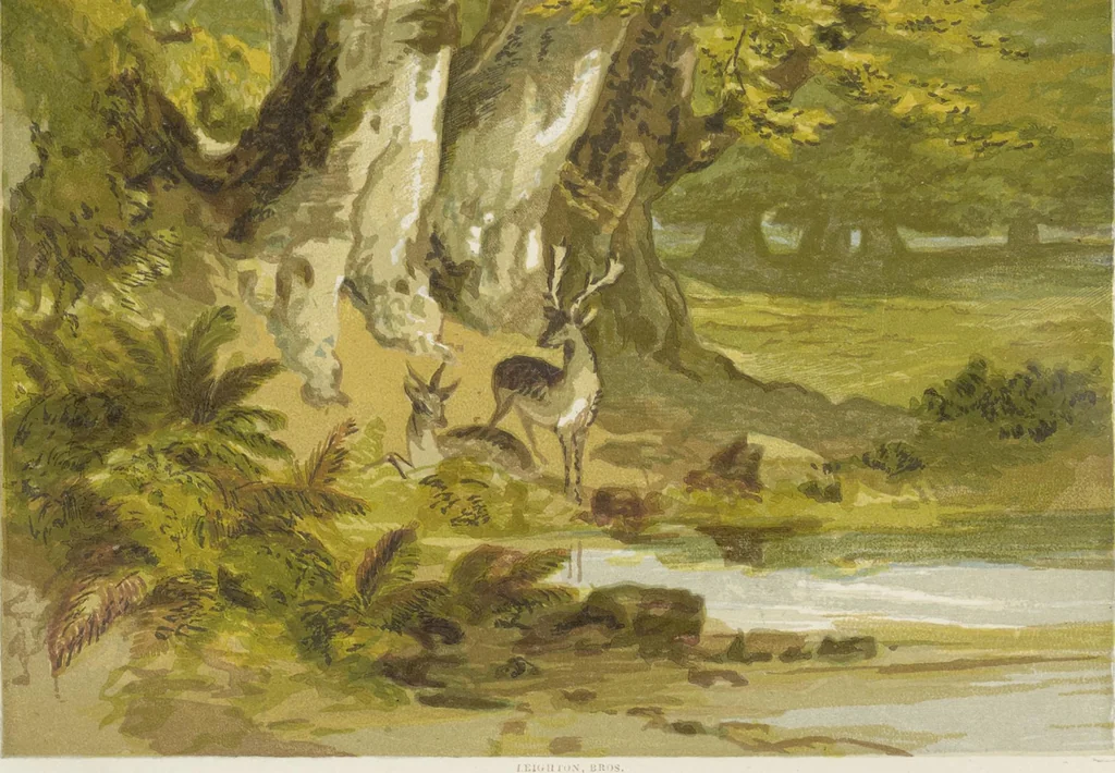 An illustration from The theory and practice of landscape painting in water-colours illustrated by a series of twenty-six drawings and diagrams in colours and numerous woodcuts, 1885, leaf 235