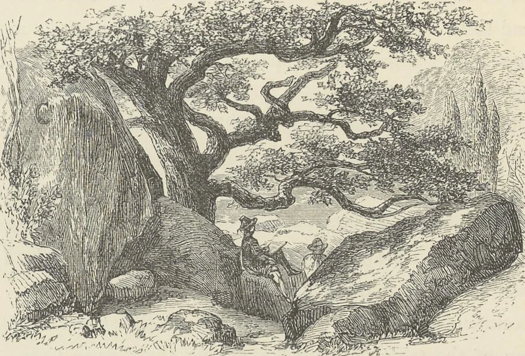 An illustration from The theory and practice of landscape painting in water-colours illustrated by a series of twenty-six drawings and diagrams in colours and numerous woodcuts, 1885, leaf 273
