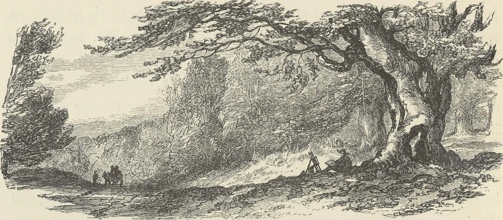 An illustration from The theory and practice of landscape painting in water-colours illustrated by a series of twenty-six drawings and diagrams in colours and numerous woodcuts, 1885, leaf 311