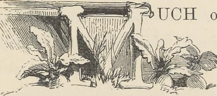 An illustration from The theory and practice of landscape painting in water-colours illustrated by a series of twenty-six drawings and diagrams in colours and numerous woodcuts, 1885, leaf 312