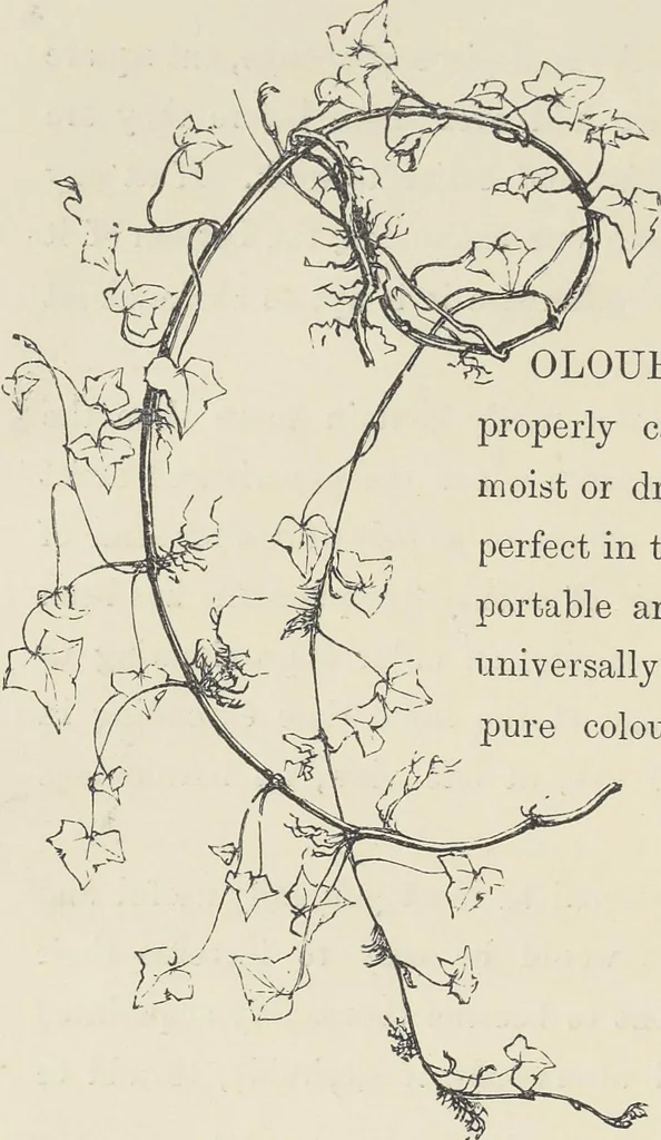 An illustration from The theory and practice of landscape painting in water-colours illustrated by a series of twenty-six drawings and diagrams in colours and numerous woodcuts, 1885, leaf 79