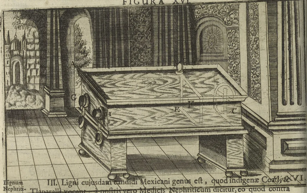 An illustration from Oculus artificialis teledioptricus, sive, Telescopium : ex abditis rerum naturalium & artificialium principiis protractum novâ methodo, eâque solidâ explicatum ac comprimis è triplici fundamento physico seu naturali, mathematico dioptrico et mechanico, seu practico stabilitum ..., 1685, leaf 153