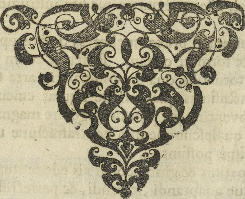 An illustration from Oculus artificialis teledioptricus, sive, Telescopium : ex abditis rerum naturalium & artificialium principiis protractum novâ methodo, eâque solidâ explicatum ac comprimis è triplici fundamento physico seu naturali, mathematico dioptrico et mechanico, seu practico stabilitum ..., 1685, leaf 19