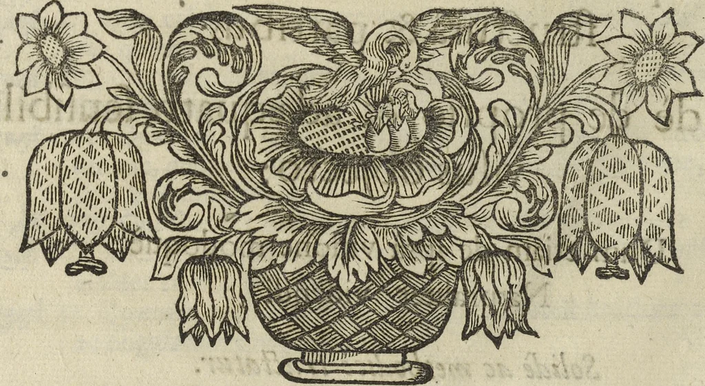 An illustration from Oculus artificialis teledioptricus, sive, Telescopium : ex abditis rerum naturalium & artificialium principiis protractum novâ methodo, eâque solidâ explicatum ac comprimis è triplici fundamento physico seu naturali, mathematico dioptrico et mechanico, seu practico stabilitum ..., 1685, leaf 25
