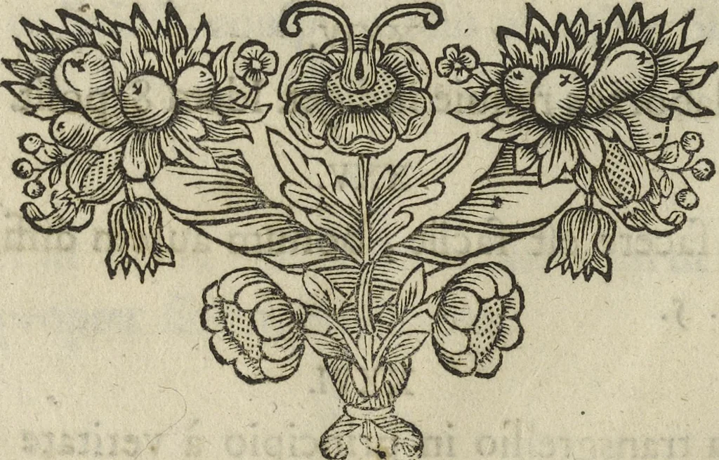 An illustration from Oculus artificialis teledioptricus, sive, Telescopium : ex abditis rerum naturalium & artificialium principiis protractum novâ methodo, eâque solidâ explicatum ac comprimis è triplici fundamento physico seu naturali, mathematico dioptrico et mechanico, seu practico stabilitum ..., 1685, leaf 31