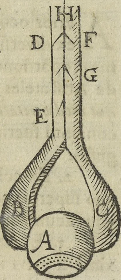 An illustration from Oculus artificialis teledioptricus, sive, Telescopium : ex abditis rerum naturalium & artificialium principiis protractum novâ methodo, eâque solidâ explicatum ac comprimis è triplici fundamento physico seu naturali, mathematico dioptrico et mechanico, seu practico stabilitum ..., 1685, leaf 61