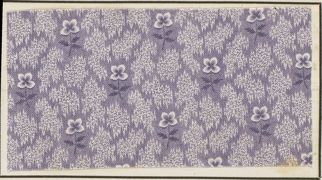 An illustration from Traité théorique et pratique de l'impression des tissus, 1846, leaf 258