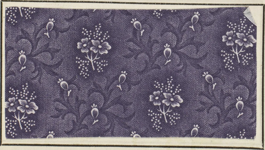 An illustration from Traité théorique et pratique de l'impression des tissus, 1846, leaf 259