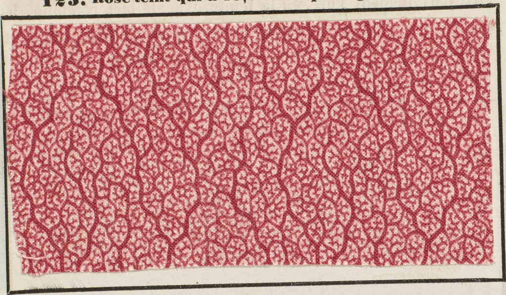 An illustration from Traité théorique et pratique de l'impression des tissus, 1846, leaf 283