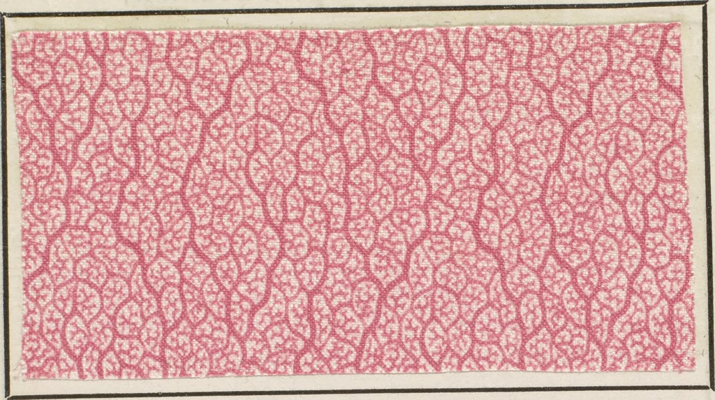 An illustration from Traité théorique et pratique de l'impression des tissus, 1846, leaf 285