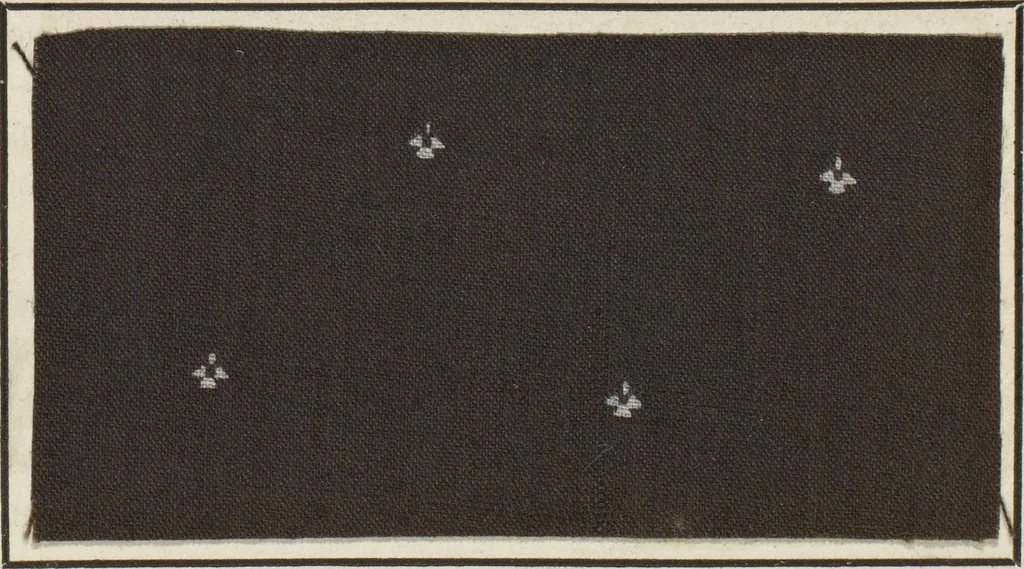 An illustration from Traité théorique et pratique de l'impression des tissus, 1846, leaf 352