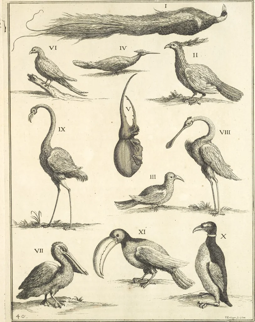 An illustration from Le cabinet de la Bibliotheque de Sainte Genevieve : divisé en deux parties : contenant les antiquitez de la réligion des chrétiens, des Egyptiens, & des Romains; des tombeaux, des poids & des médailles; de monnoyes, des pierres antiques gravées, & des mineraux ..., 1692, leaf 284