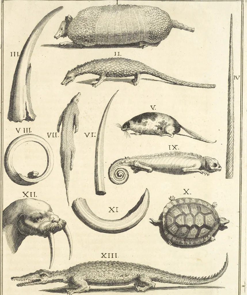 An illustration from Le cabinet de la Bibliotheque de Sainte Genevieve : divisé en deux parties : contenant les antiquitez de la réligion des chrétiens, des Egyptiens, & des Romains; des tombeaux, des poids & des médailles; de monnoyes, des pierres antiques gravées, & des mineraux ..., 1692, leaf 292