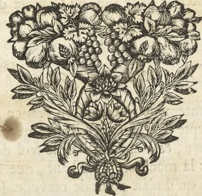 An illustration from Le cabinet de la Bibliotheque de Sainte Genevieve : divisé en deux parties : contenant les antiquitez de la réligion des chrétiens, des Egyptiens, & des Romains; des tombeaux, des poids & des médailles; de monnoyes, des pierres antiques gravées, & des mineraux ..., 1692, leaf 303