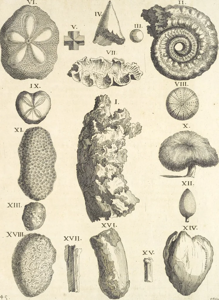 An illustration from Le cabinet de la Bibliotheque de Sainte Genevieve : divisé en deux parties : contenant les antiquitez de la réligion des chrétiens, des Egyptiens, & des Romains; des tombeaux, des poids & des médailles; de monnoyes, des pierres antiques gravées, & des mineraux ..., 1692, leaf 326