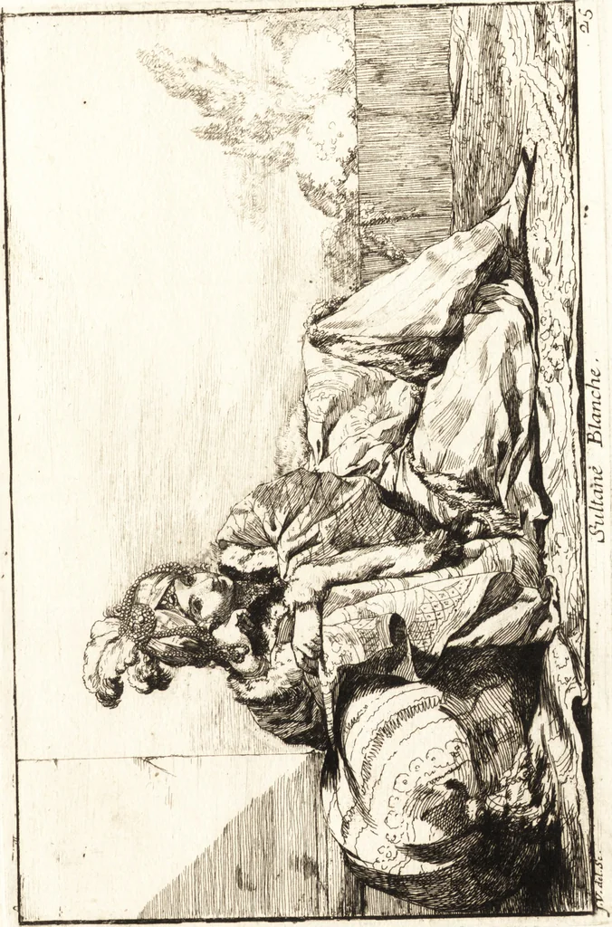 An illustration from Caravanne du sultan ala Mecque : mascarade turque donnée a Rome par Messieurs les pensionnaires de l'Academie de France et leurs amis au Carnaval de l'année 1748 : dediée à messire Iean Francois de Troy, ecuïer, conseiller sécrétaire du Roi, chevalier de l'Ordre de S. Michel, directeur de l'Academie roïale de France a Rome, ancien Recteur de celle de Paris, et ancien Prince de l'Academie de S. Luc de Rome &c ..., 1749, leaf 58