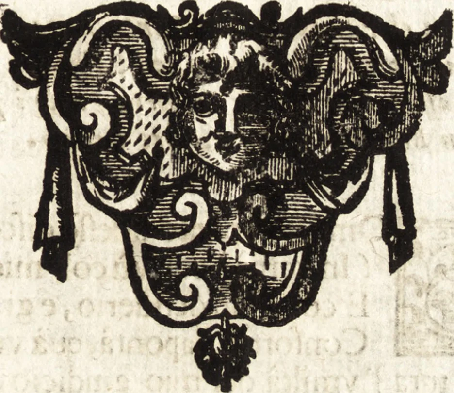 An illustration from La carta del nauegar pitoresco : dialogo tra vn senator venetian deletante, e vn professor de pitura, soto nome d'ecelenza, e de compare ..., 1660, leaf 160