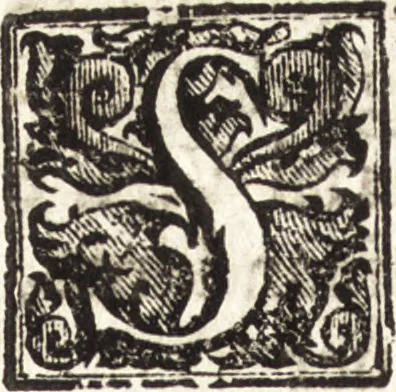An illustration from La carta del nauegar pitoresco : dialogo tra vn senator venetian deletante, e vn professor de pitura, soto nome d'ecelenza, e de compare ..., 1660, leaf 17