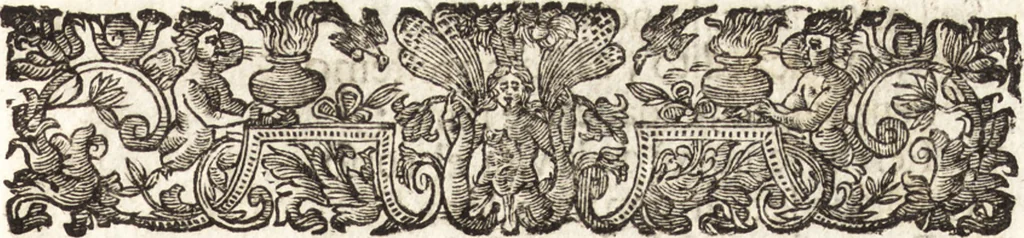 An illustration from La carta del nauegar pitoresco : dialogo tra vn senator venetian deletante, e vn professor de pitura, soto nome d'ecelenza, e de compare ..., 1660, leaf 28