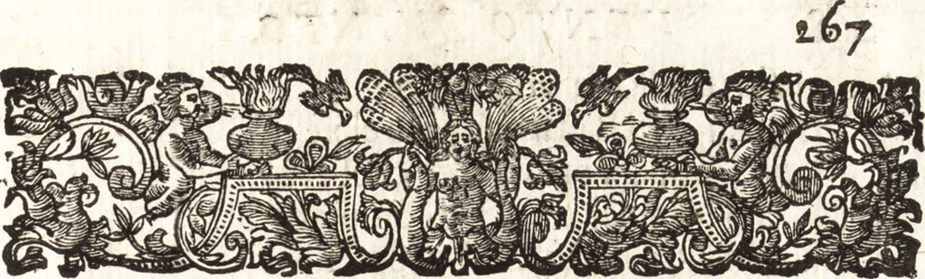 An illustration from La carta del nauegar pitoresco : dialogo tra vn senator venetian deletante, e vn professor de pitura, soto nome d'ecelenza, e de compare ..., 1660, leaf 294