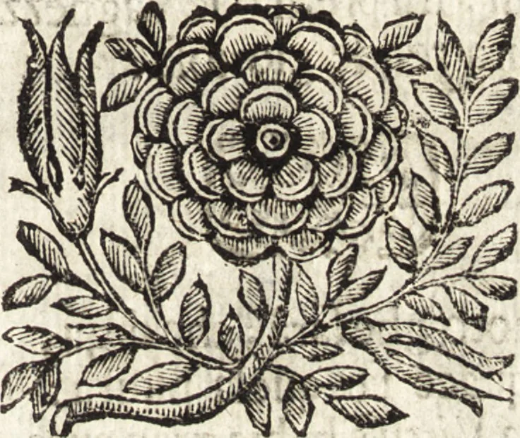 An illustration from La carta del nauegar pitoresco : dialogo tra vn senator venetian deletante, e vn professor de pitura, soto nome d'ecelenza, e de compare ..., 1660, leaf 612