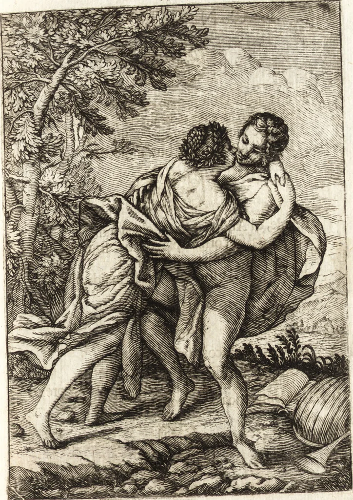 An illustration from La carta del nauegar pitoresco : dialogo tra vn senator venetian deletante, e vn professor de pitura, soto nome d'ecelenza, e de compare ..., 1660, leaf 660