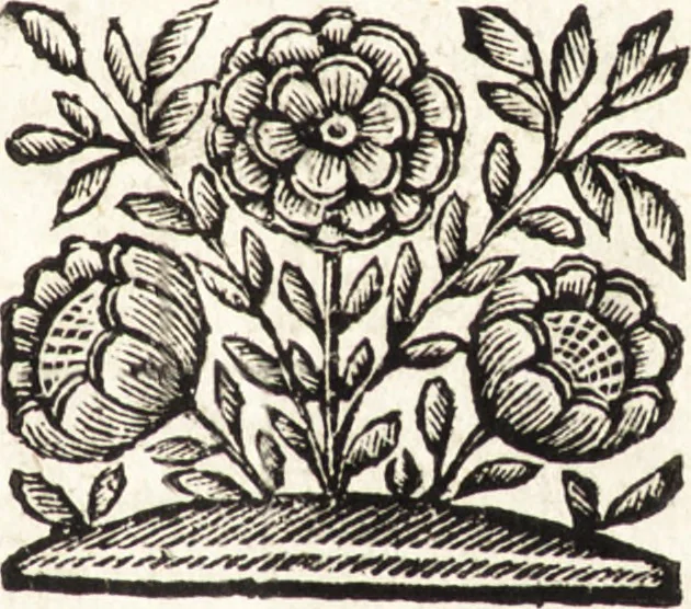 An illustration from La carta del nauegar pitoresco : dialogo tra vn senator venetian deletante, e vn professor de pitura, soto nome d'ecelenza, e de compare ..., 1660, leaf 8