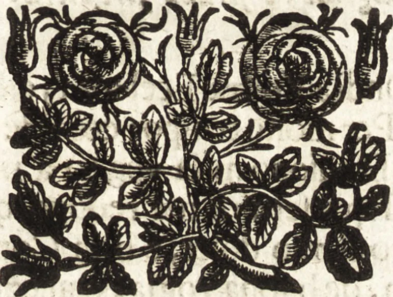 An illustration from La carta del nauegar pitoresco : dialogo tra vn senator venetian deletante, e vn professor de pitura, soto nome d'ecelenza, e de compare ..., 1660, leaf 94