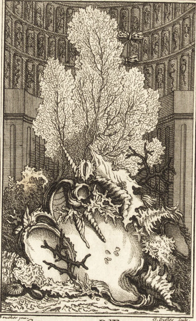 An illustration from Catalogue d'une collection considérable de curiositez de differens genres, dont la vente doit commencer le lundi 2 decembre 1737 à deux heures après midi chez Gersaint marchand, pont Notre Dame, 1737, leaf 3