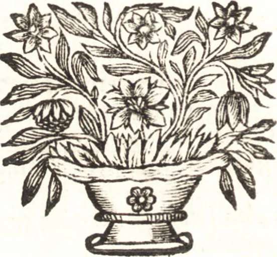 An illustration from Catalogue raisonné d'une collection considerable de diverses curiosités en tous genres : contenuës dans les cabinets de feu Monsieur Bonnier de la Mosson, bailly & capitaine des chasses de la Varenne des Thuilleries & ancien colonel du Regiment dauphin, 1744, leaf 39