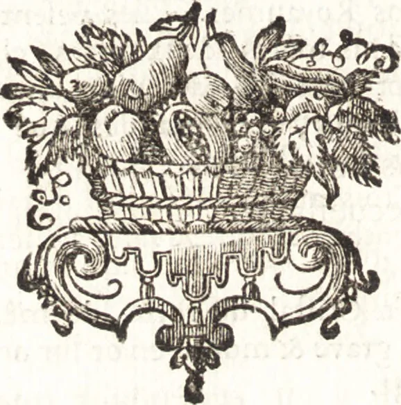 An illustration from Catalogue raisonné d'une collection considerable de diverses curiosités en tous genres : contenuës dans les cabinets de feu Monsieur Bonnier de la Mosson, bailly & capitaine des chasses de la Varenne des Thuilleries & ancien colonel du Regiment dauphin, 1744, leaf 407