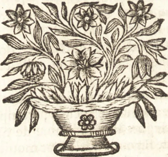 An illustration from Catalogue raisonné d'une collection considerable de diverses curiosités en tous genres : contenuës dans les cabinets de feu Monsieur Bonnier de la Mosson, bailly & capitaine des chasses de la Varenne des Thuilleries & ancien colonel du Regiment dauphin, 1744, leaf 455
